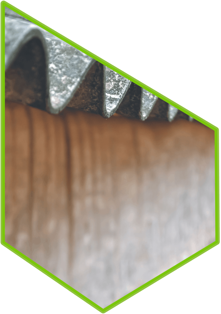 asbestos survey wadhurst
